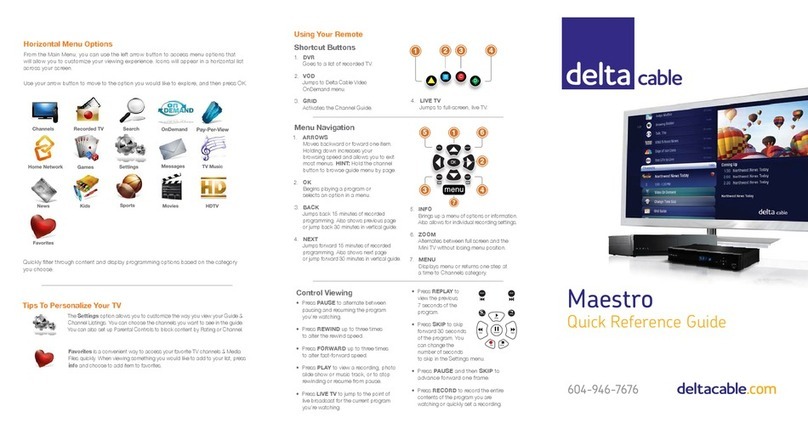 Delta Maestro User manual