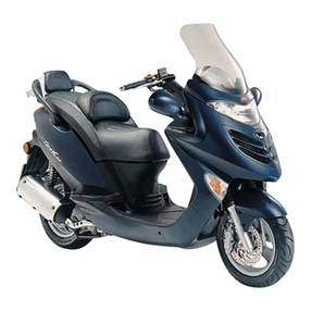 KYMCO GRAND DINK 250 manual