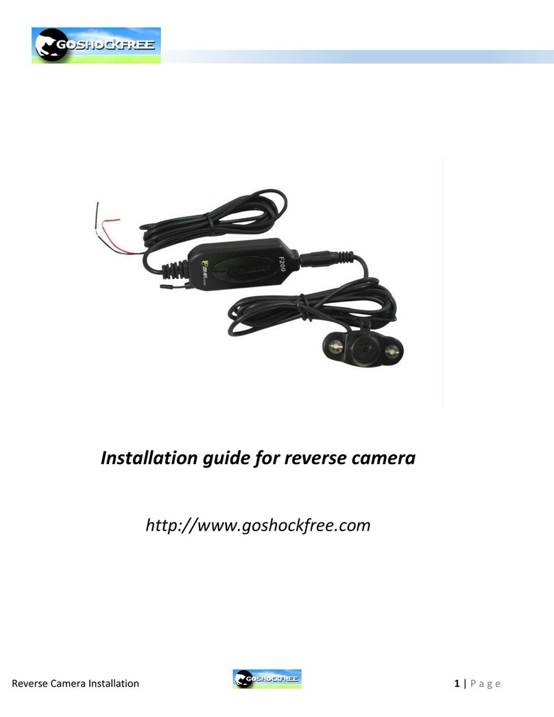 GoShockFree F200 installation guide