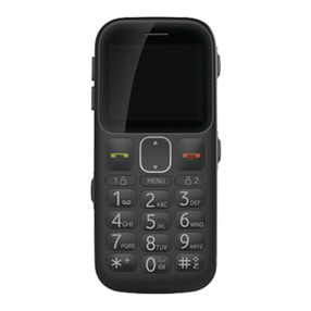 Telecom R303 User manual