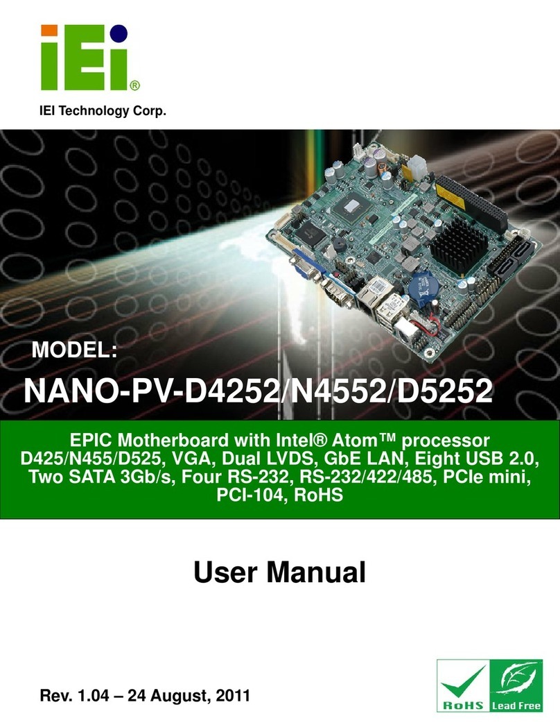 IEI Technology NANO-PV-D4252 User manual