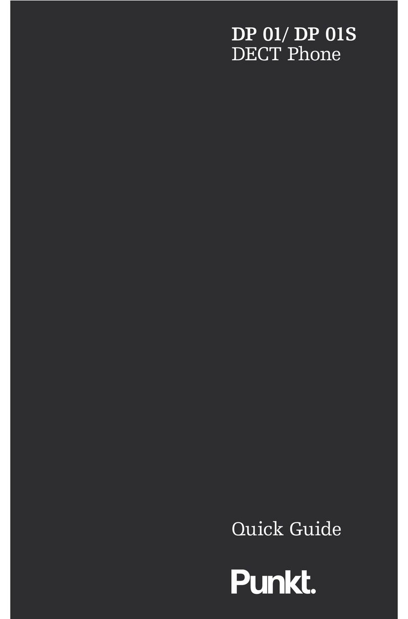 Punkt DP 01S User manual