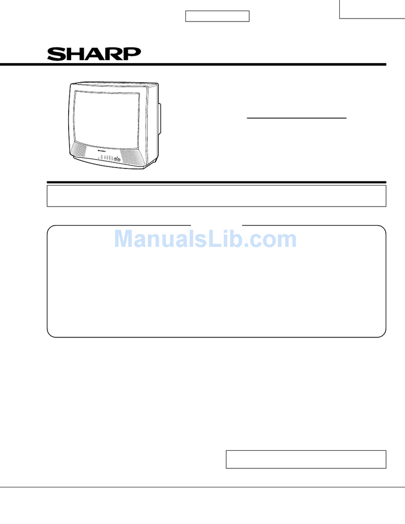 Sharp 19R-M100 User manual
