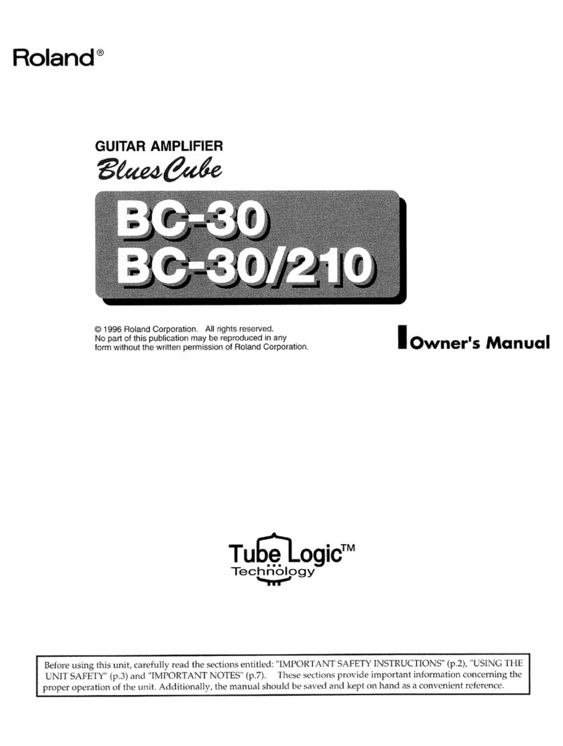 Roland BluesCube BC-30 User manual
