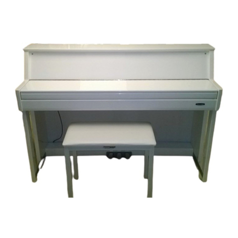 Medeli DP70EU User manual Medeli DP70EU User manual