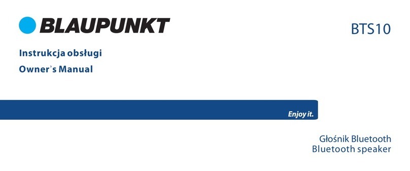 Blaupunkt BTS10 User manual