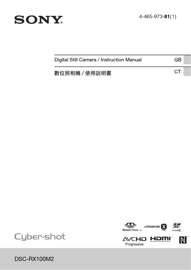 Sony DSC-RX100M2 User manual