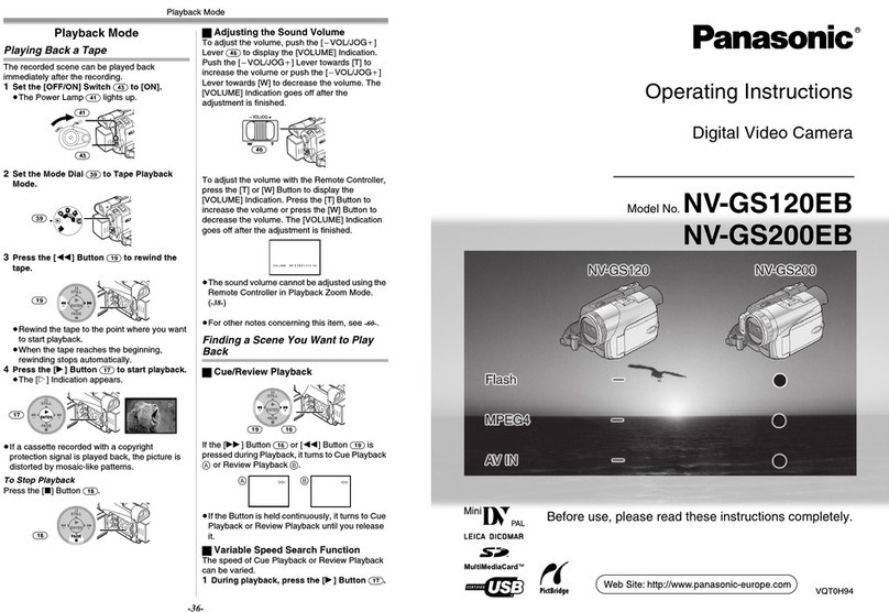 Panasonic NV-GS120EB User manual