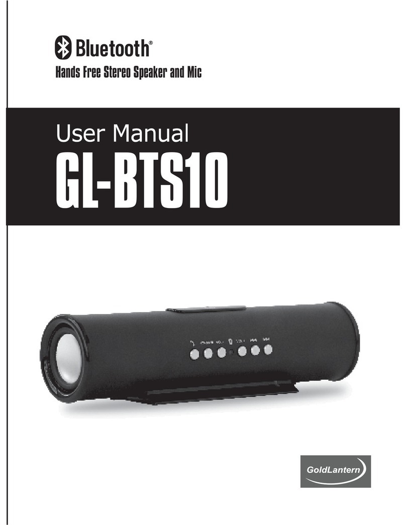 Goldlantern GL-BTS10 user manual