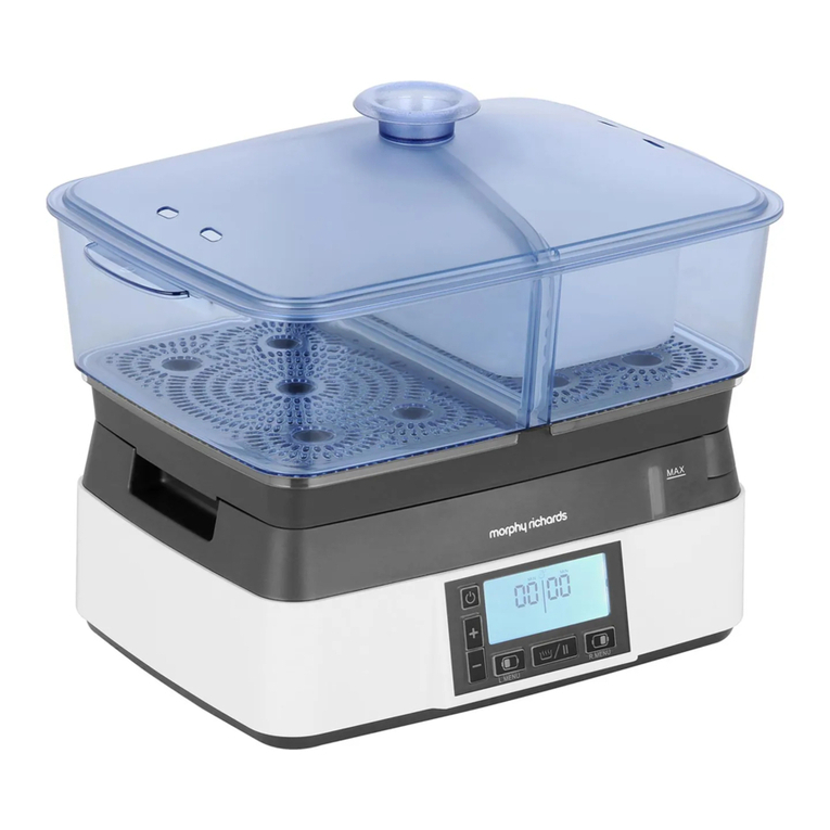 Morphy Richards Intellisteam Compact 48775 User manual