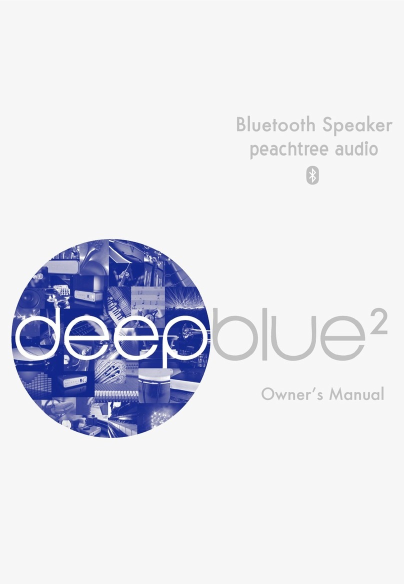 Peachtree Audio deepblue2 owner's manual