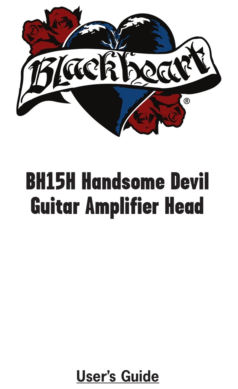 Blackheart BH15H Handsome Devil user guide