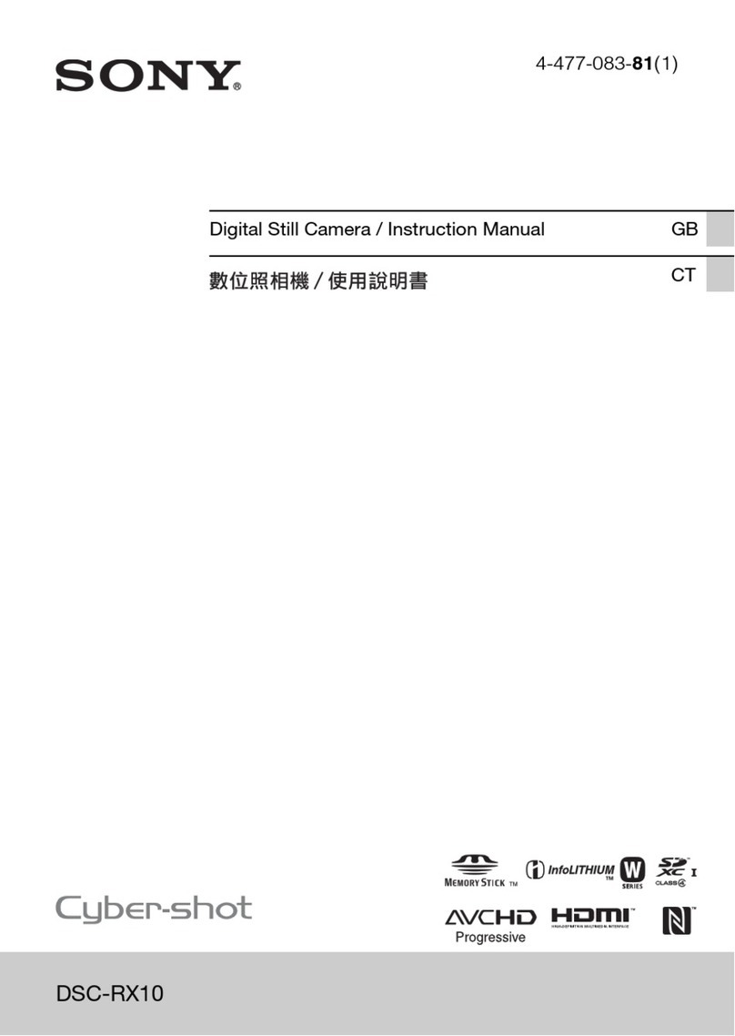 Sony Cyber-shot DSC-RX10 User manual