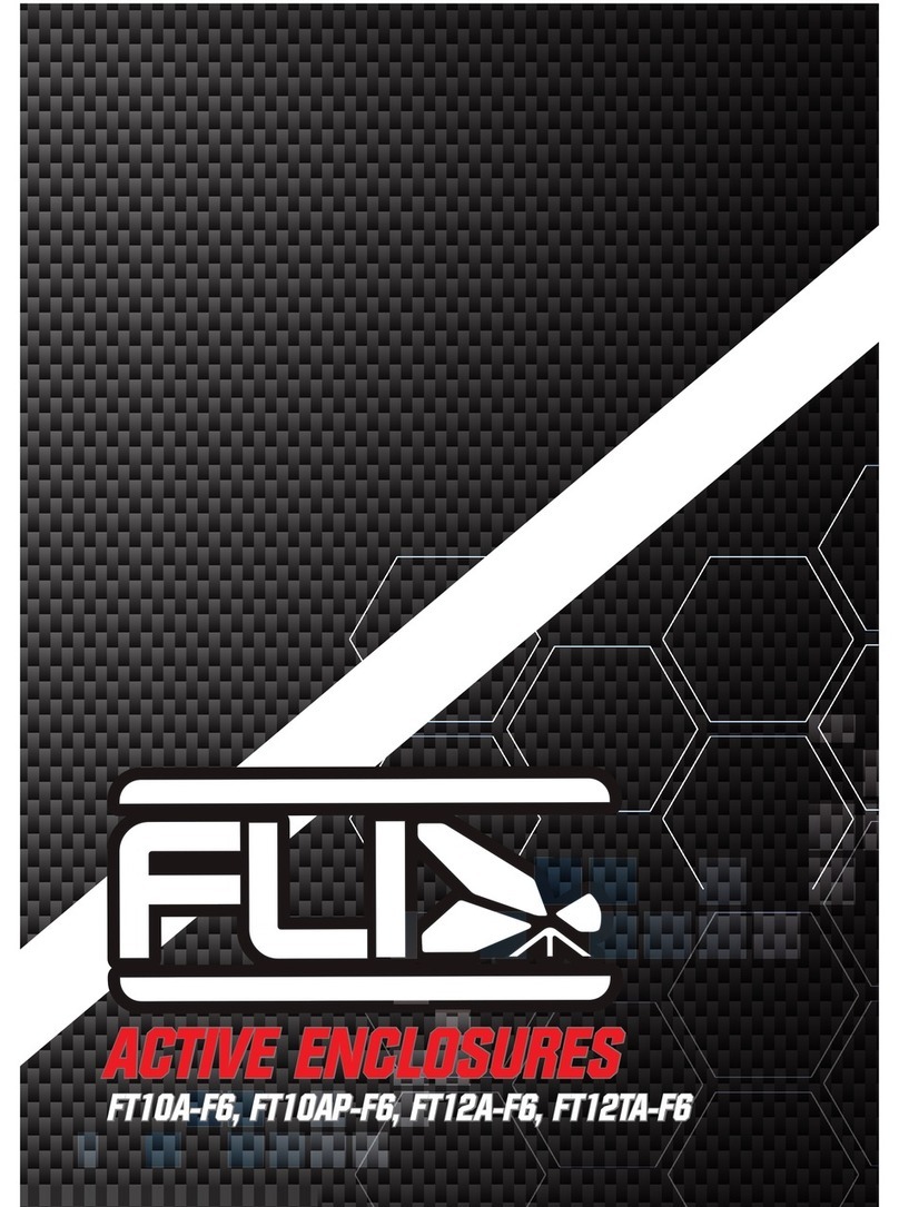 FLI Audio FT10A-F6 User manual