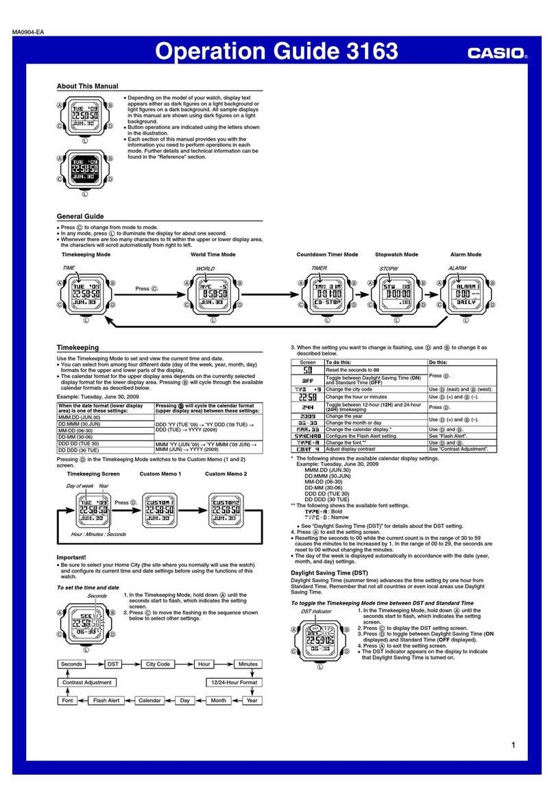 Casio 3163 User manual