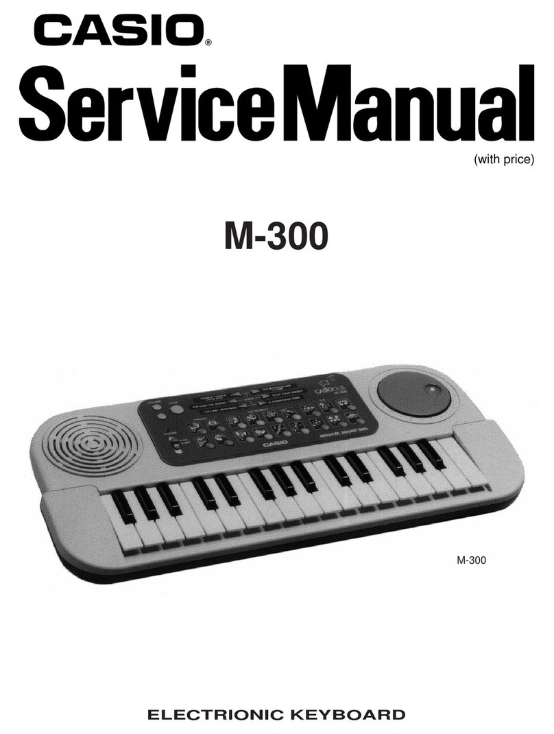 Casio M-300 User manual