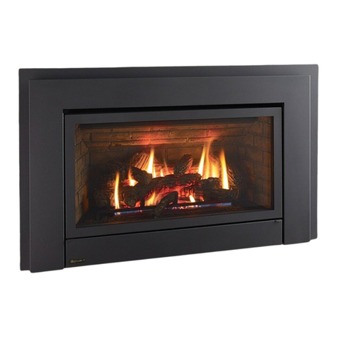Regency Fireplace Products E33-NG10 Owners and installation manual
