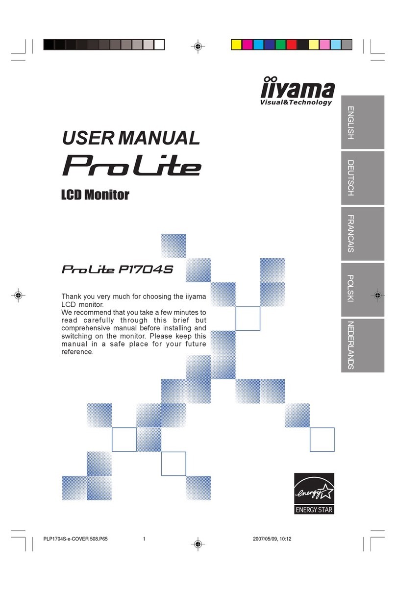 Iiyama P1704S User manual