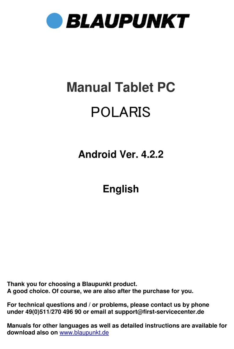Blaupunkt POLARIS User manual