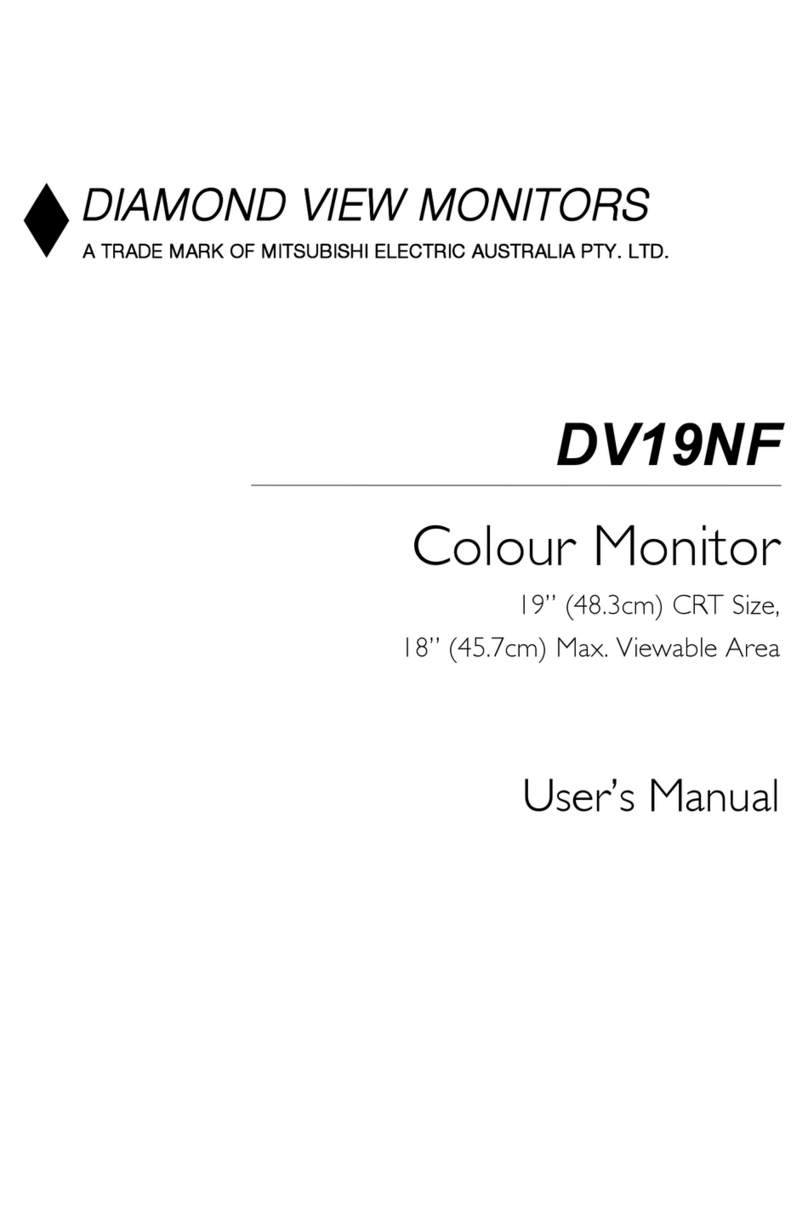 Diamond View DV19NF User manual