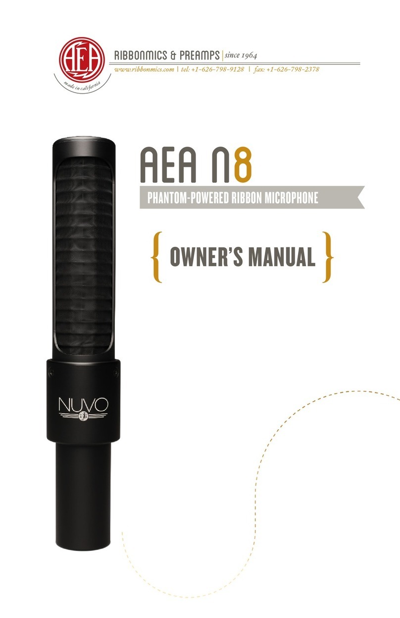 AEA N8 owner's manual