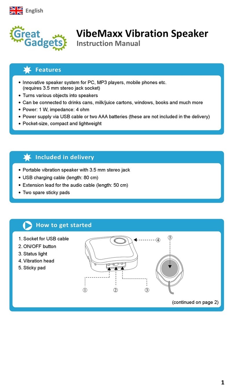 VibeMaxx Vibration Speaker User manual