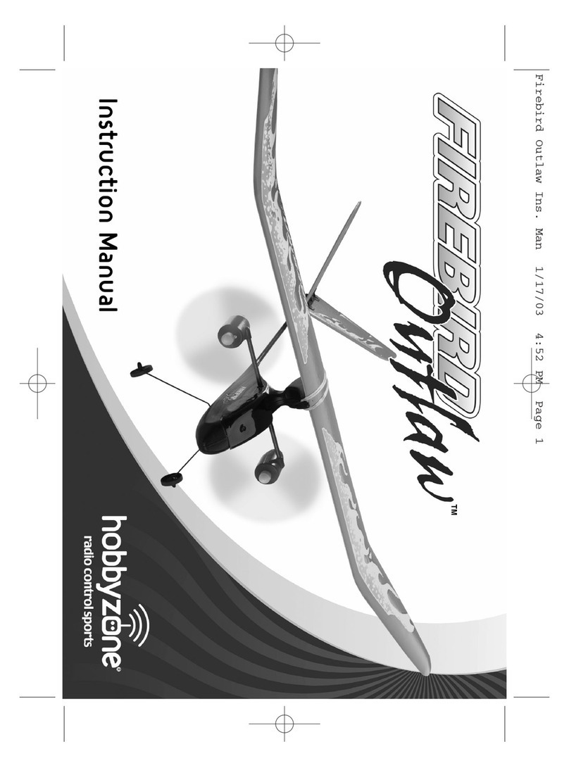 HobbyZone Firebird Outlaw User manual