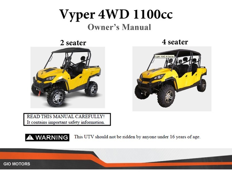 gio Vyper 4WD 1100cc 2 seater owner's manual