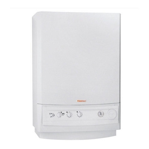 RVR Energy Technology Immergas Zeus Mini User manual