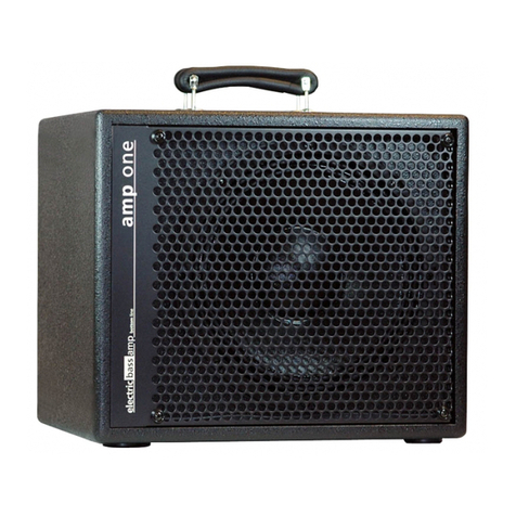 AER amp one User manual