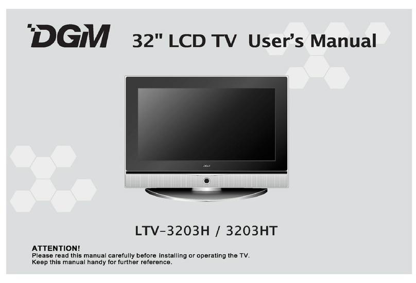 DGM LTV-3203H User manual