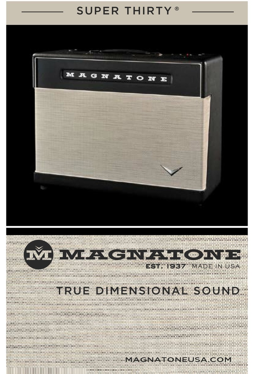 Magnatone Amp user guide