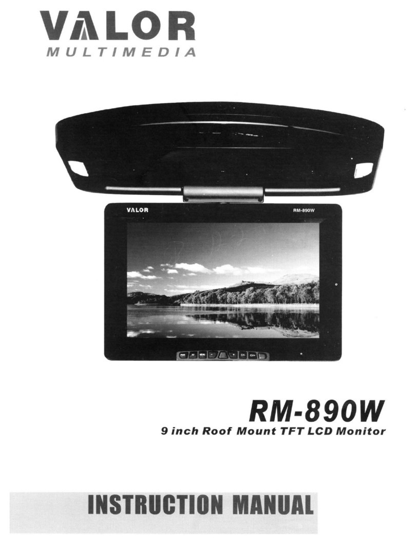 Valor RM-890W User manual