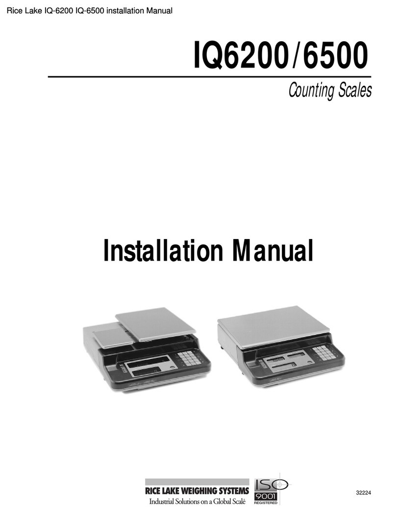 Rice Lake IQ6200 User manual