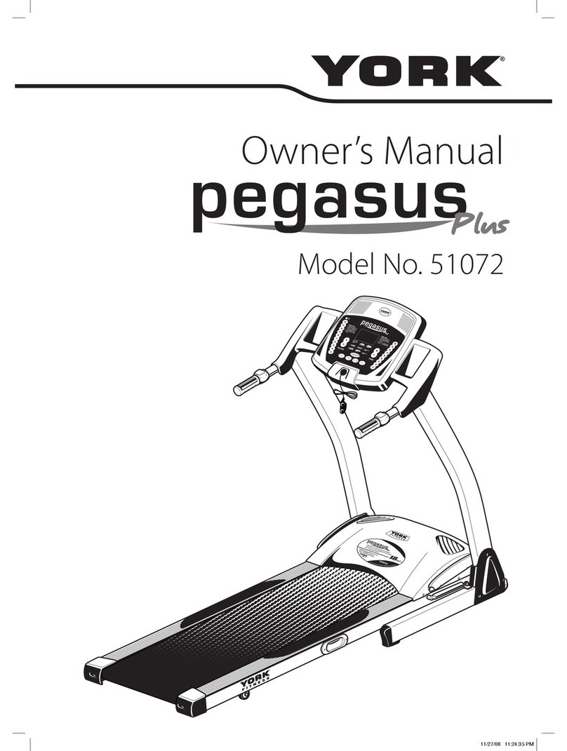 York Pegasus Plus 51072 instruction manual
