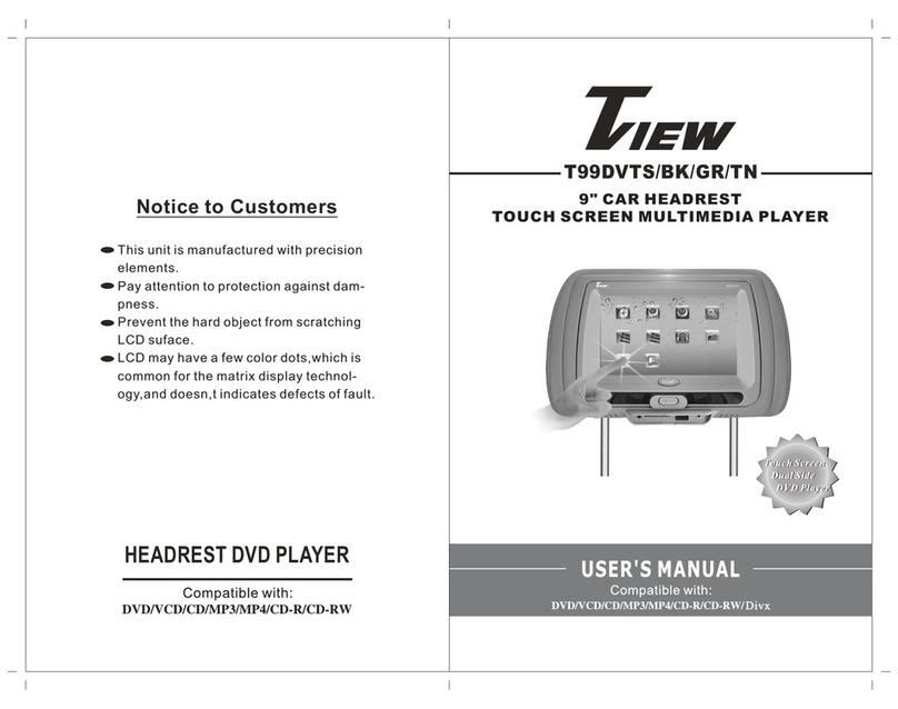 Tiew T99DVTS user manual