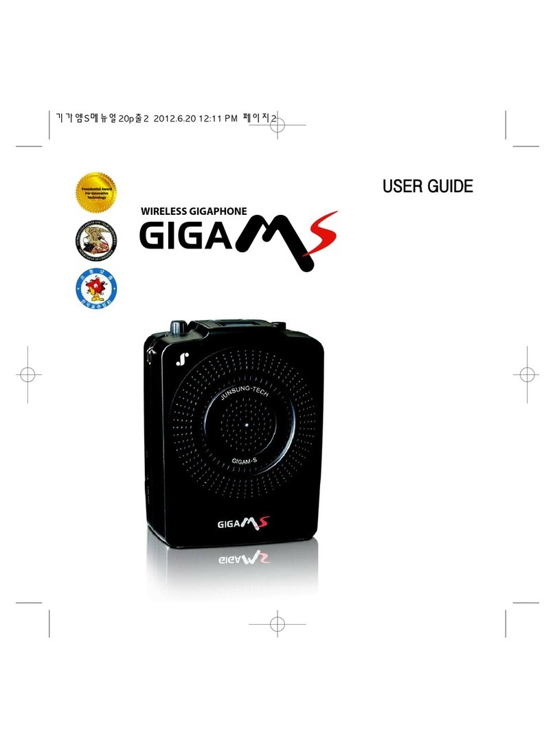 gigams WIRELESS GIGAPHONE User manual