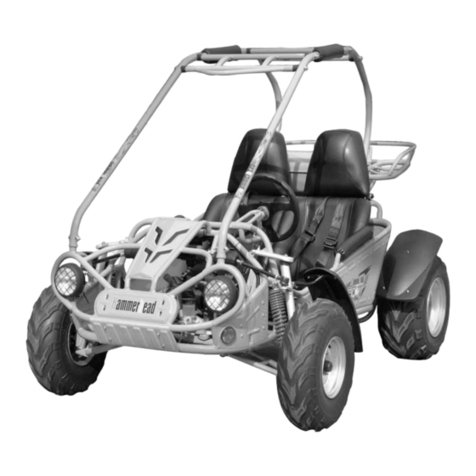 Hammerhead Dune Buggy GT250 User manual