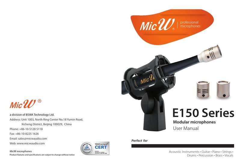 MicW Audio E150 Series user manual