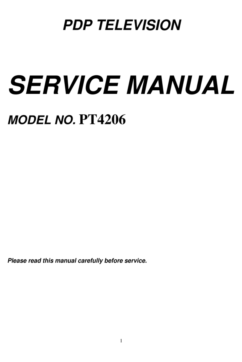 Changhong Electric PT4206 User manual