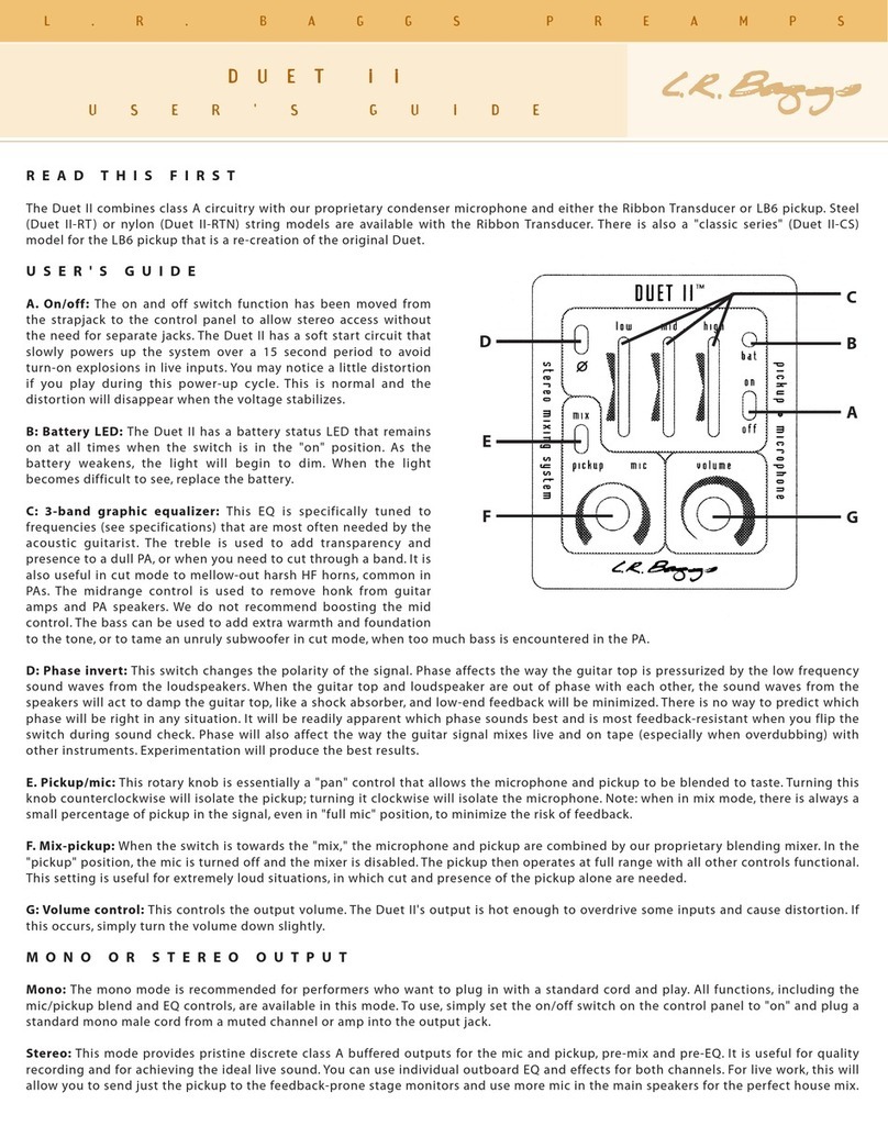 L.R. Baggs Duet II User manual