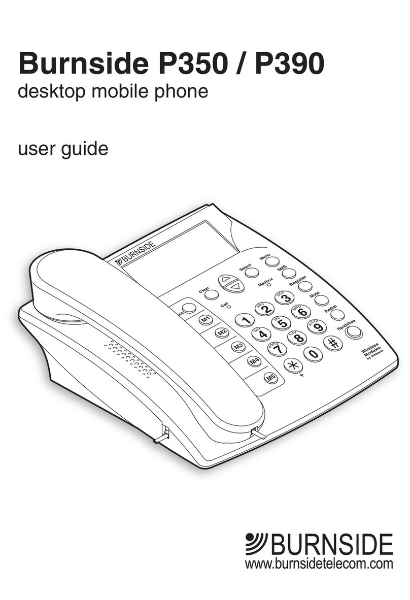 Burnside P350 User manual