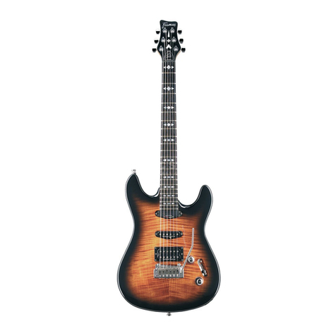 Framus AK 1974 User manual