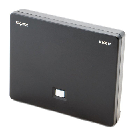 Gigaset N300IP User manual