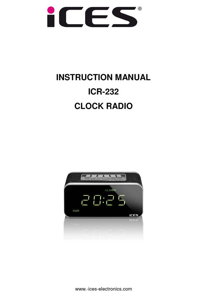 iCES ICR-232 instruction manual