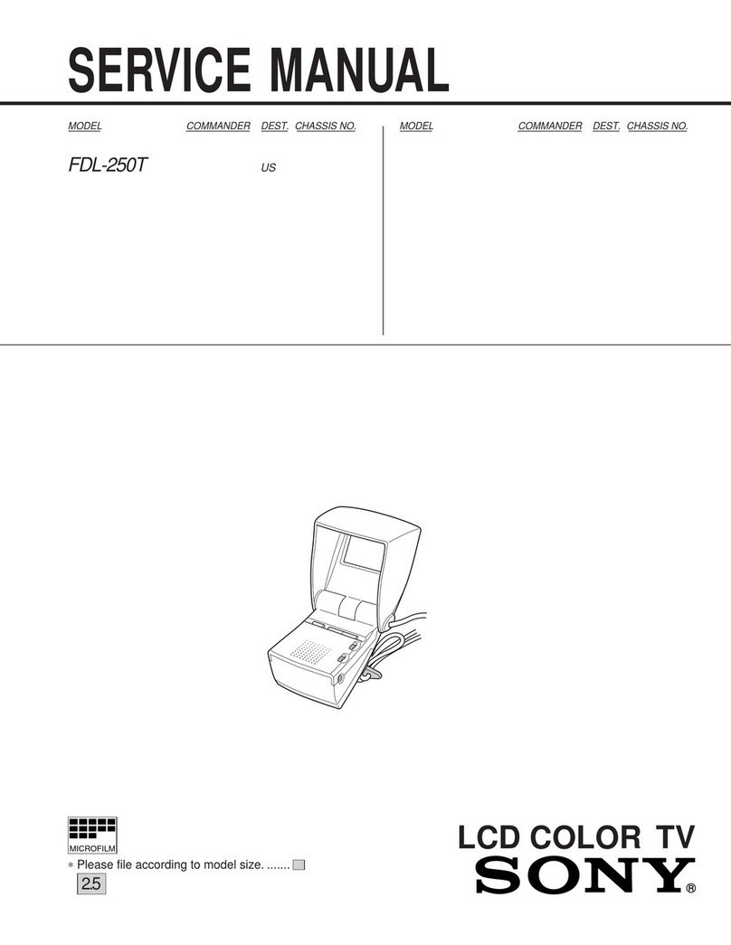 Sony Watchman FDL-250T User manual