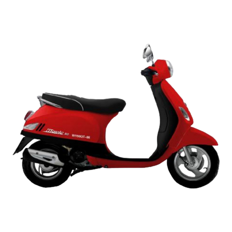 WangYe WY50QT-86 User manual