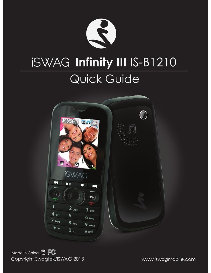 iSwag Infinity III IS-B1210 User manual