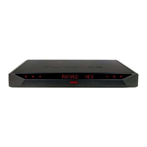 NuForce P-20 user manual