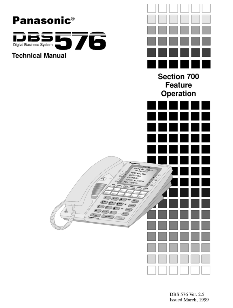 Panasonic DBS 576 Section 300 User manual